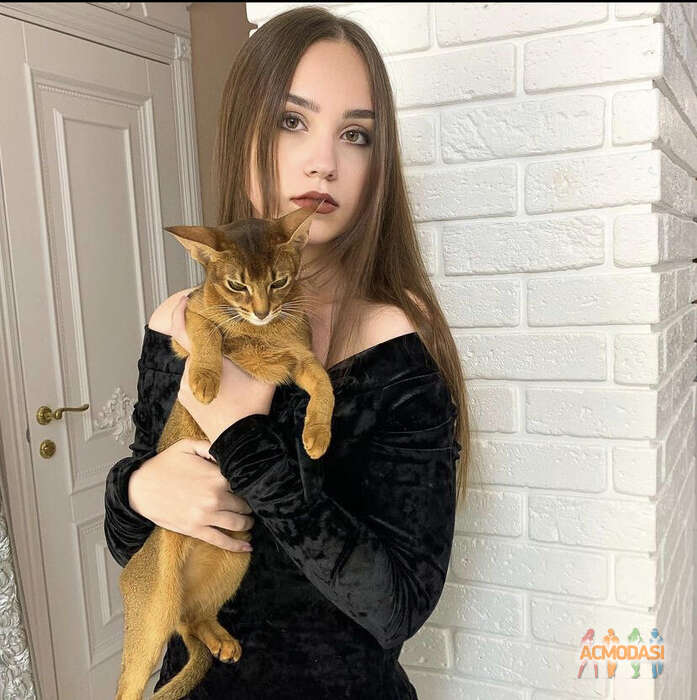Світлана  Зубкова фото №1660568. Завантажено 18 Жовтня 2021