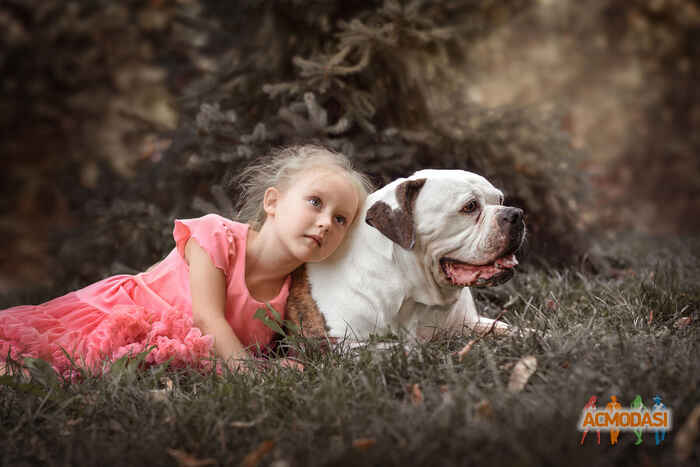 Eva  Palagina фото №1451652. Завантажено 22 Вересня 2019