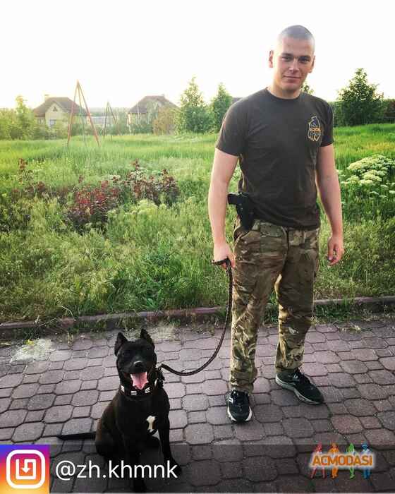 Евгений Николаевич Хоменко фото №1173948. Завантажено 28 Січня 2018