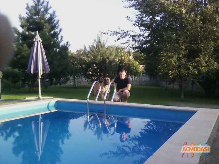 Андрей Кутовой Александрович фото №1088739. Завантажено 08 Серпня 2017