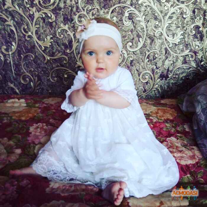 Вероника Николаевна Дзигун фото №1108394. Завантажено 24 Вересня 2017