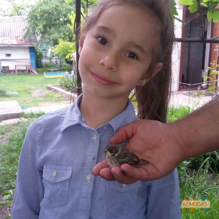 Кузьменко София Александровна фото №828397. Завантажено 06 Вересня 2015