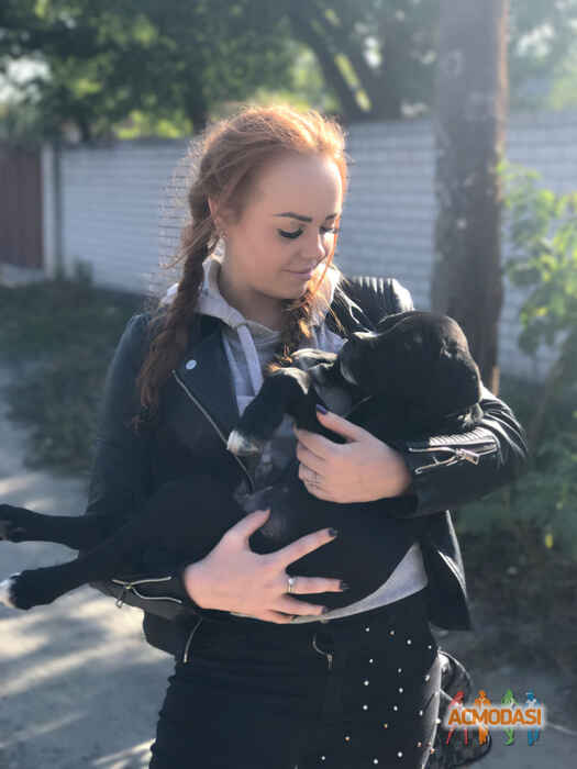 Марина Эдуардовна Скотаренко фото №1128069. Завантажено 01 Листопада 2017