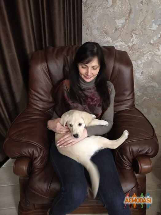 Любов Миколаївна Болюх фото №1499460. Завантажено 21 Січня 2020