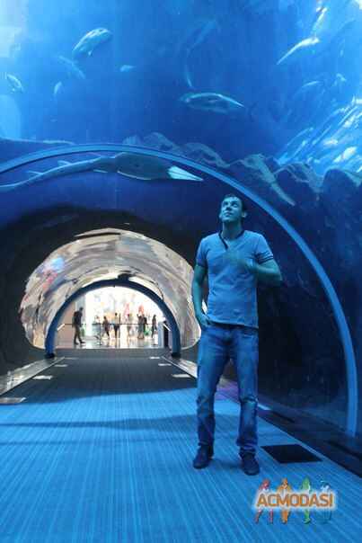 Сергей Николаевич Петров фото №1042954. Завантажено 13 Квітня 2017