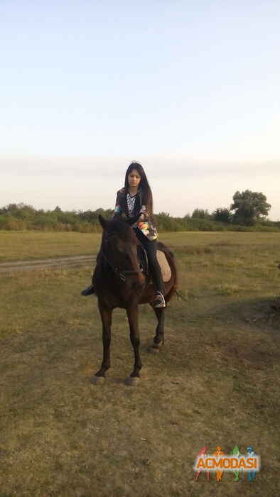 Тетяна Олександривна Островська фото №1048977. Завантажено 29 Квітня 2017