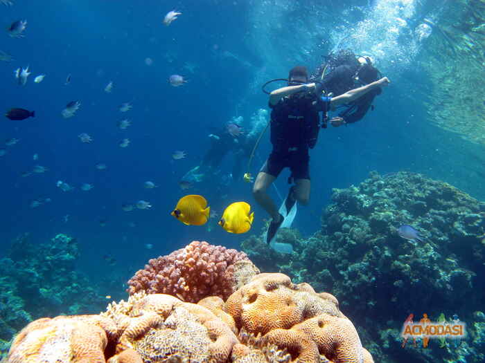 Роман   фото №1140393. Завантажено 21 Листопада 2017