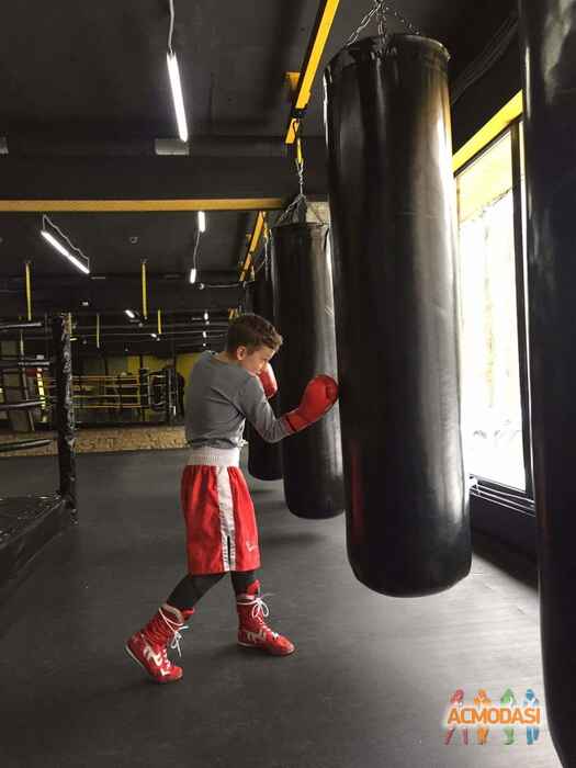 Дмитро Станіславович Свідерський фото №1013226. Завантажено 29 Січня 2017