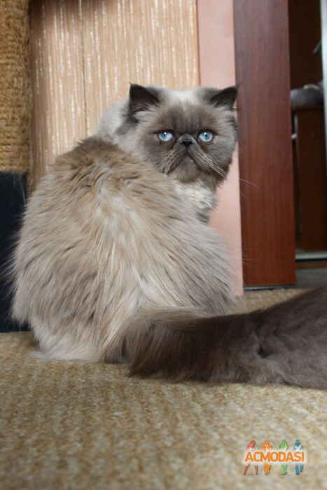 Наталия  Саламатина фото №1078509. Завантажено 13 Липня 2017