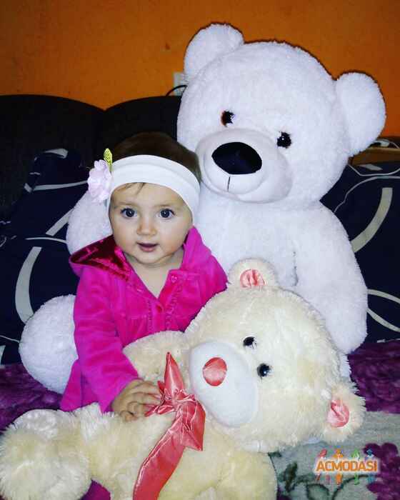 Кира Сергеевна Сергиенко фото №1166189. Завантажено 16 Січня 2018