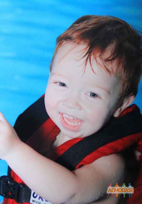 Дмитро Артемович Волков фото №1012692. Завантажено 27 Січня 2017