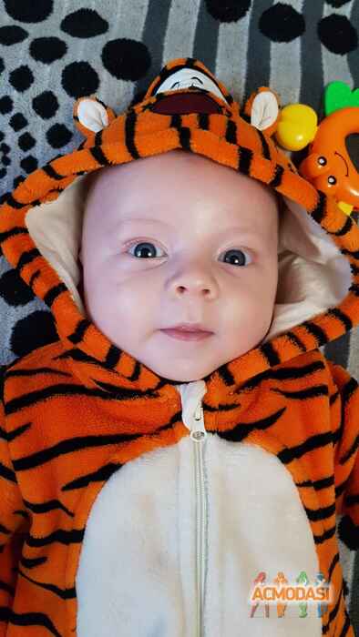 Наталья  Таланова фото №1486441. Завантажено 10 Грудня 2019