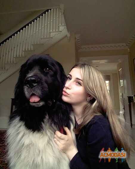 Олена Володимирівна Денисюк фото №1143657. Завантажено 27 Листопада 2017