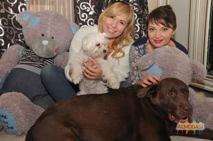 Людмила Владимировна Кучерук фото №823845. Завантажено 20 Серпня 2015