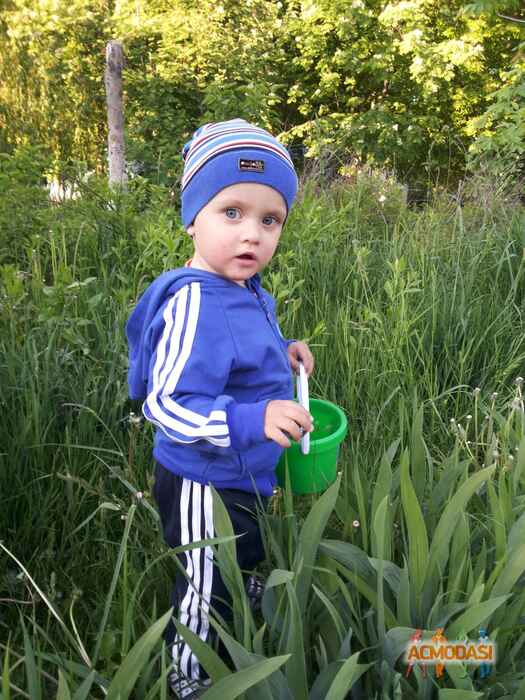 Роман Андрійович Музичук фото №835132. Завантажено 24 Вересня 2015