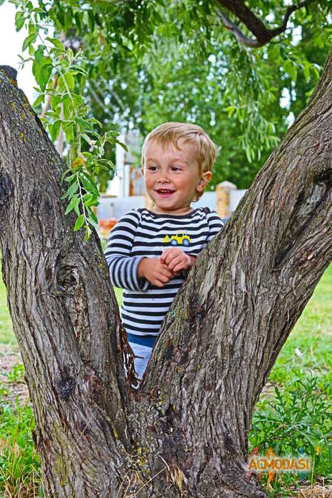 Марк Алексеевич Семиряжко фото №949203. Завантажено 26 Серпня 2016