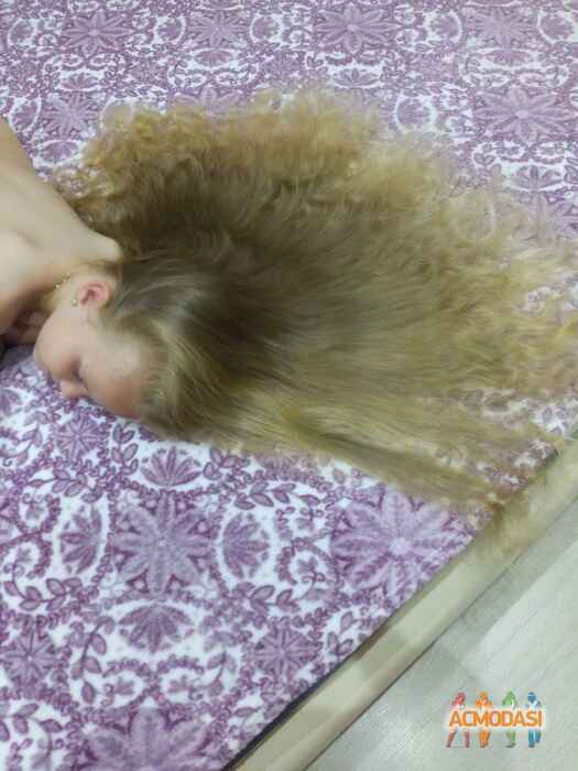 Евангелина Кирилловна Богомолова фото №1362772. Завантажено 09 Лютого 2019