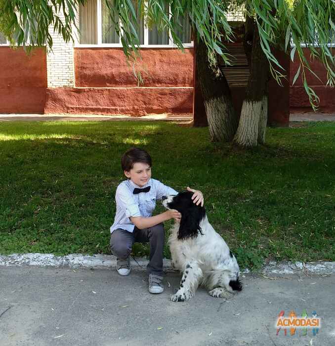 Артем Вадимович Мохнач фото №1417355. Завантажено 02 Липня 2019