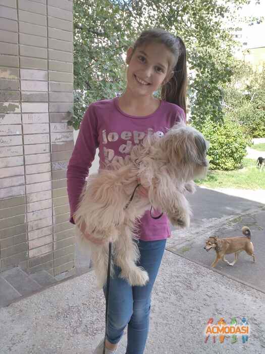 Москальчук Катерина Андріївна фото №1024658. Завантажено 24 Лютого 2017