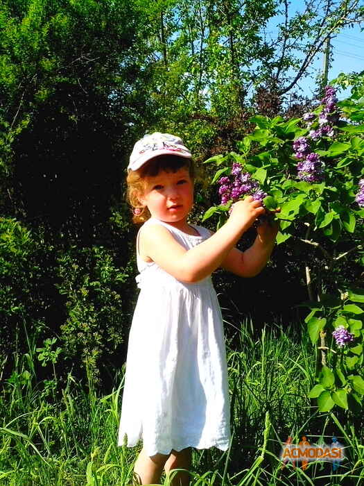 Ирина Малыхина Сергеевна фото №1055616. Завантажено 18 Травня 2017