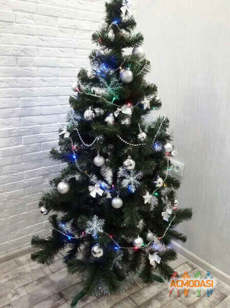 Терехов Павлович Сергеевич фото №1482761. Завантажено 01 Грудня 2019