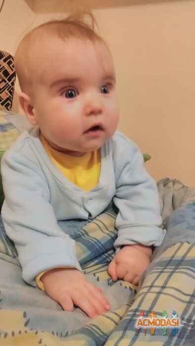 Михайло  Максимів фото №1045893. Завантажено 21 Квітня 2017