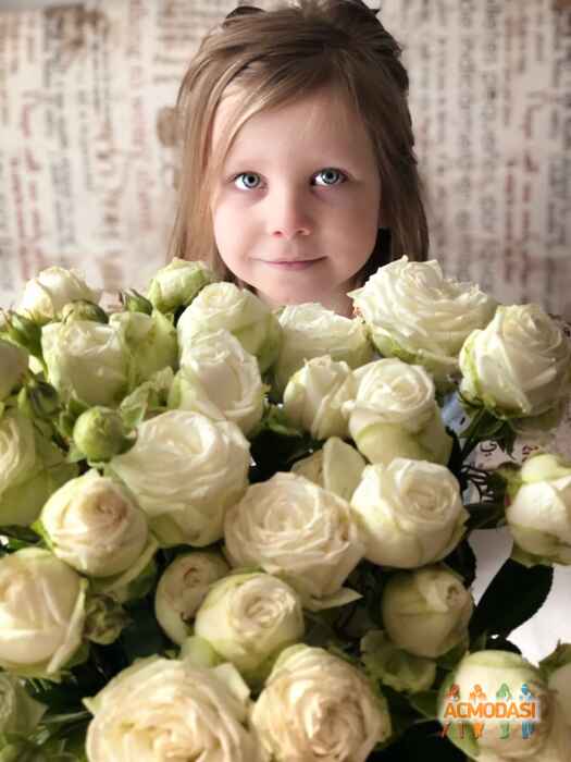 Анастасия Дмитриевна Клавдиенко фото №1424631. Завантажено 19 Липня 2019