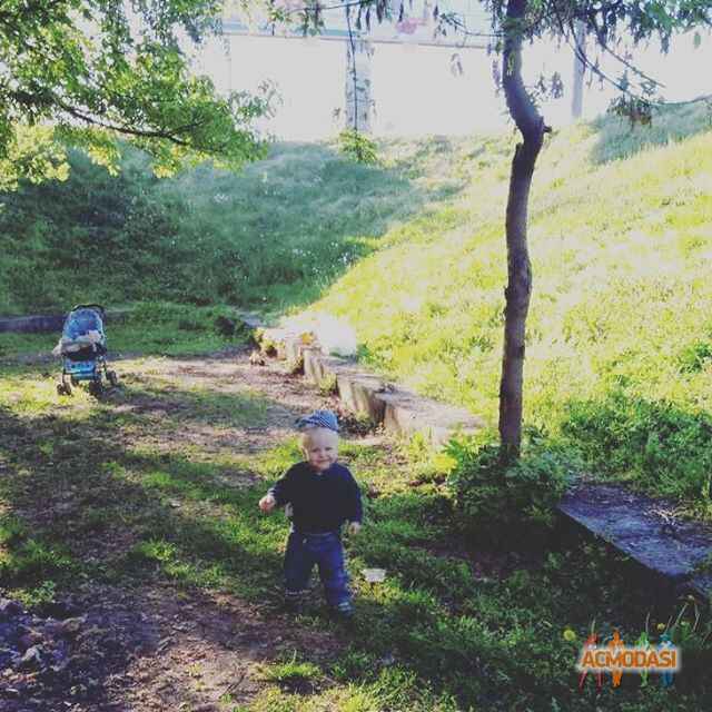 Анастасия Анатольевна Гайдук фото №1050019. Завантажено 03 Травня 2017