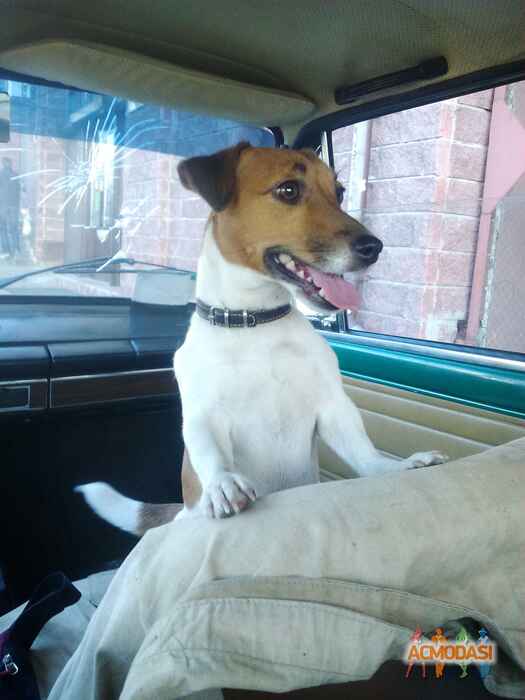 Анастасия   фото №1055388. Завантажено 18 Травня 2017