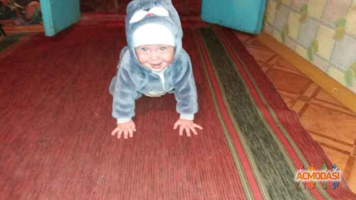 Макар Борысовыч Бондаренко фото №1125749. Завантажено 28 Жовтня 2017