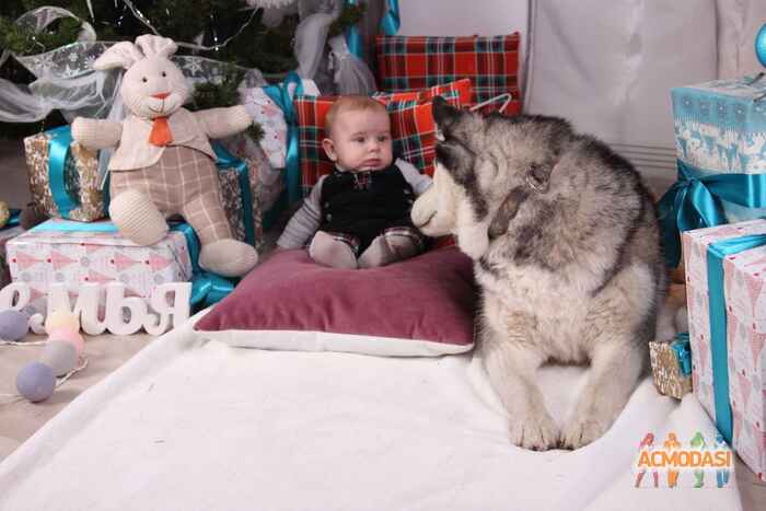 Оля  Нечволод-Равчак фото №1023555. Завантажено 22 Лютого 2017