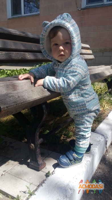 Олена Анатоліївна Войтович фото №1054092. Завантажено 15 Травня 2017