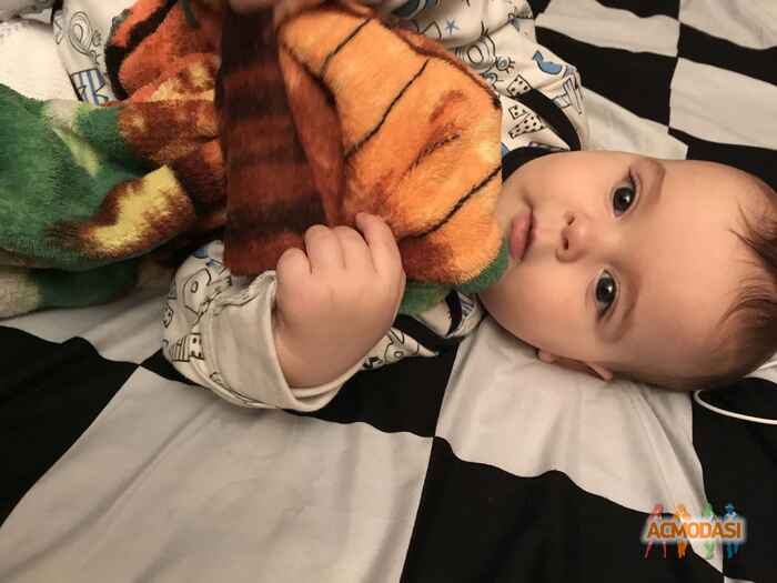 Марк Гиоргиевичь Степанишин фото №1162463. Завантажено 10 Січня 2018