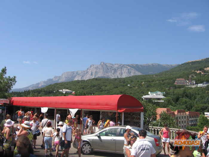 Вика :) - фото №48276. Завантажено Невідомо