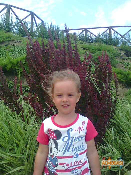 София Михайловна Кожокарь фото №1142008. Завантажено 23 Листопада 2017