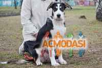 Віра Іванівна Комар фото №1025926. Завантажено 27 Лютого 2017