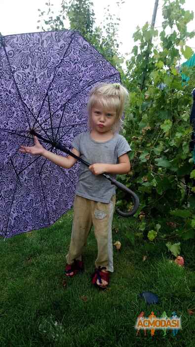 Фоменко Софія Миколаївна фото №1473490. Завантажено 10 Листопада 2019