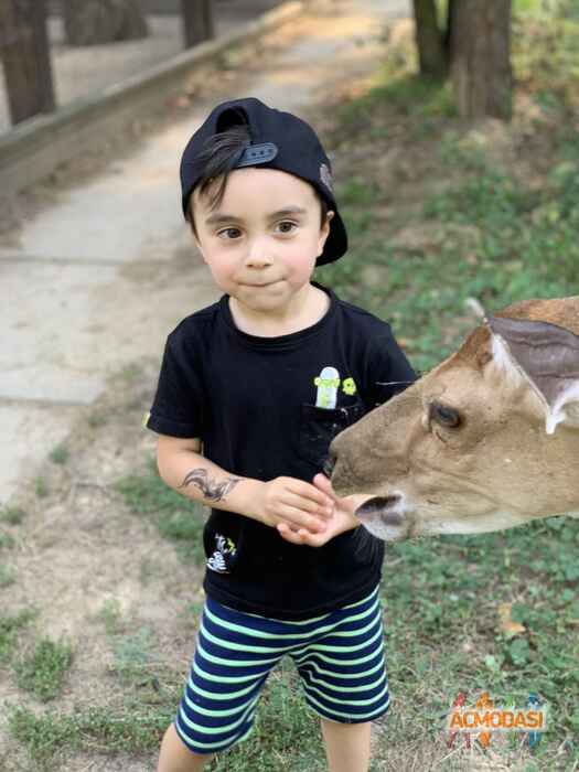 Назар-Хазем  Жабер фото №1476447. Завантажено 16 Листопада 2019