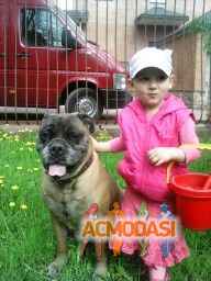 Николай Васильевич Гонтарь фото №1044689. Завантажено 19 Квітня 2017