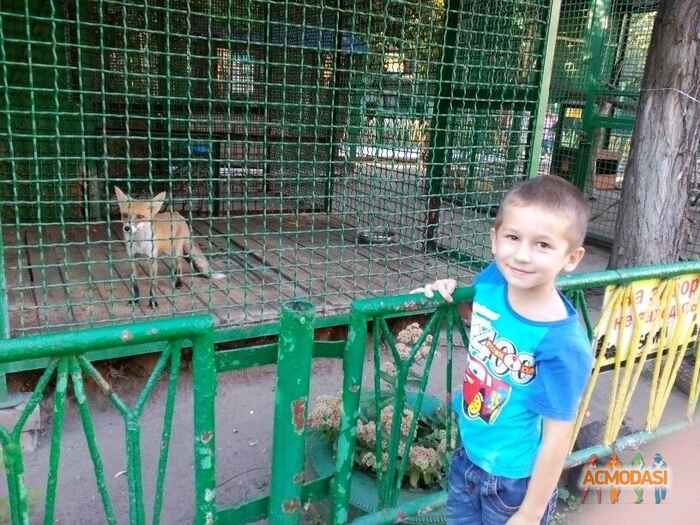 Арсений Александрович Киселев фото №879687. Завантажено 11 Лютого 2016