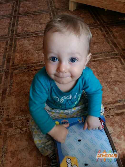 Лука   фото №1050863. Завантажено 06 Травня 2017