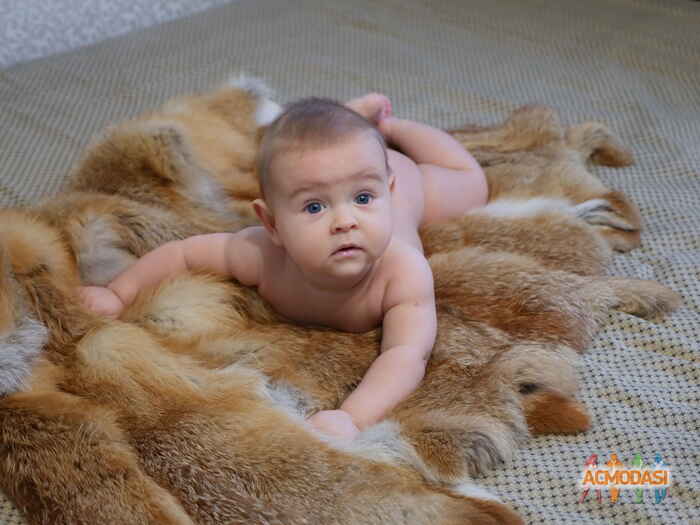 Макар Сергеевич Клименко фото №1155671. Завантажено 22 Грудня 2017