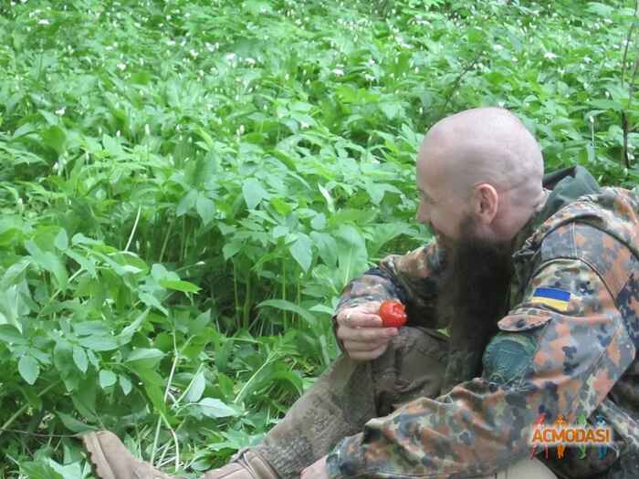 Владислав   фото №1041204. Завантажено 08 Квітня 2017