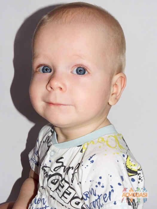 Демид Денисович Стынка фото №1604159. Завантажено 01 Лютого 2021