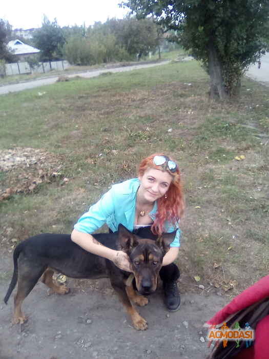 Валентина Александровна Шевченко фото №1117393. Завантажено 13 Жовтня 2017