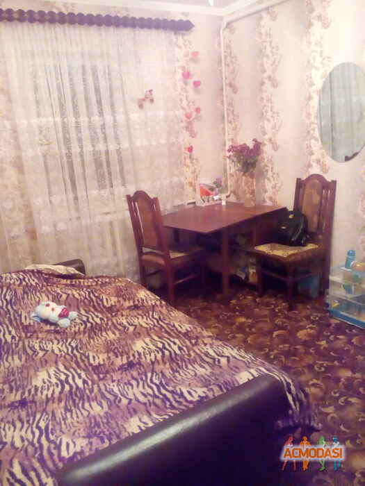 Света Михайлівна Коновалюк фото №1135941. Завантажено 13 Листопада 2017