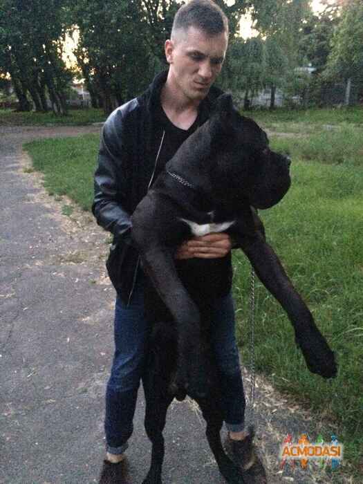 Шавлов Владислав Сергеевич фото №991357. Завантажено 30 Листопада 2016