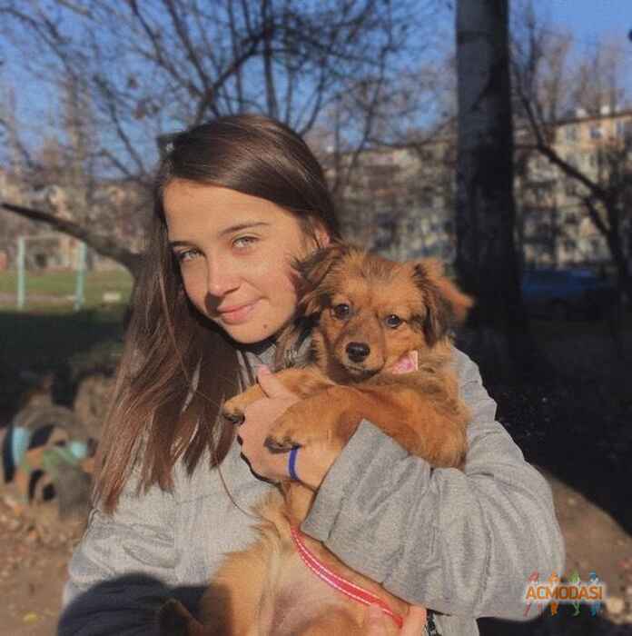 Вікторія  Марінова фото №1617528. Завантажено 26 Березня 2021