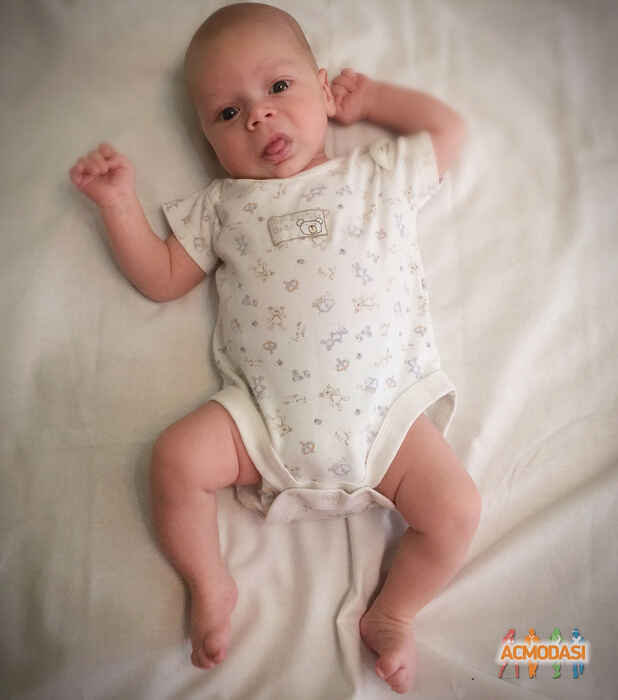 Роман Константинович Калашник фото №1180083. Завантажено 05 Лютого 2018