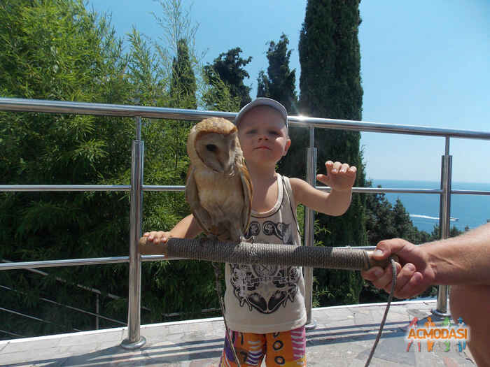 Данила Романович Недельский фото №548980. Завантажено 08 Грудня 2013